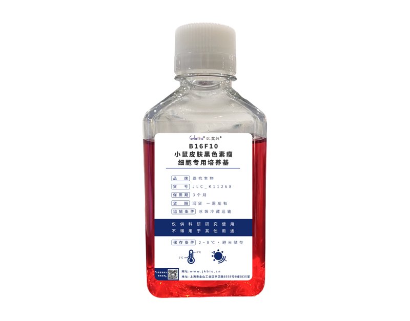 基因检测服务：开启个性化的健康管理新篇章